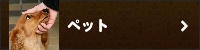 ペット
