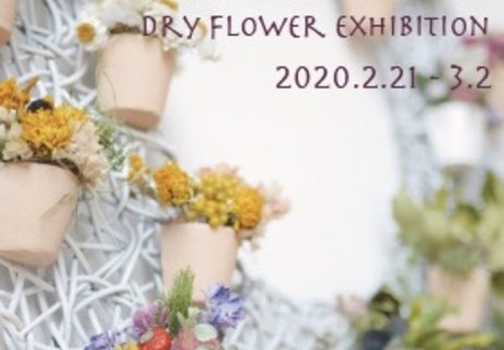 ドライフラワー展