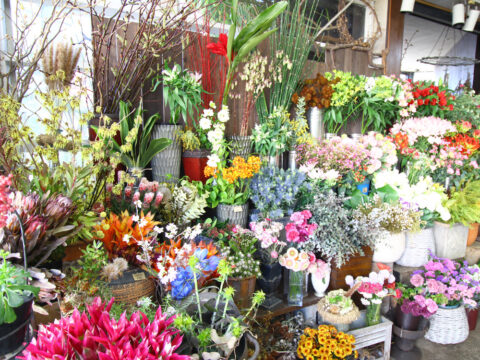 柴田花店