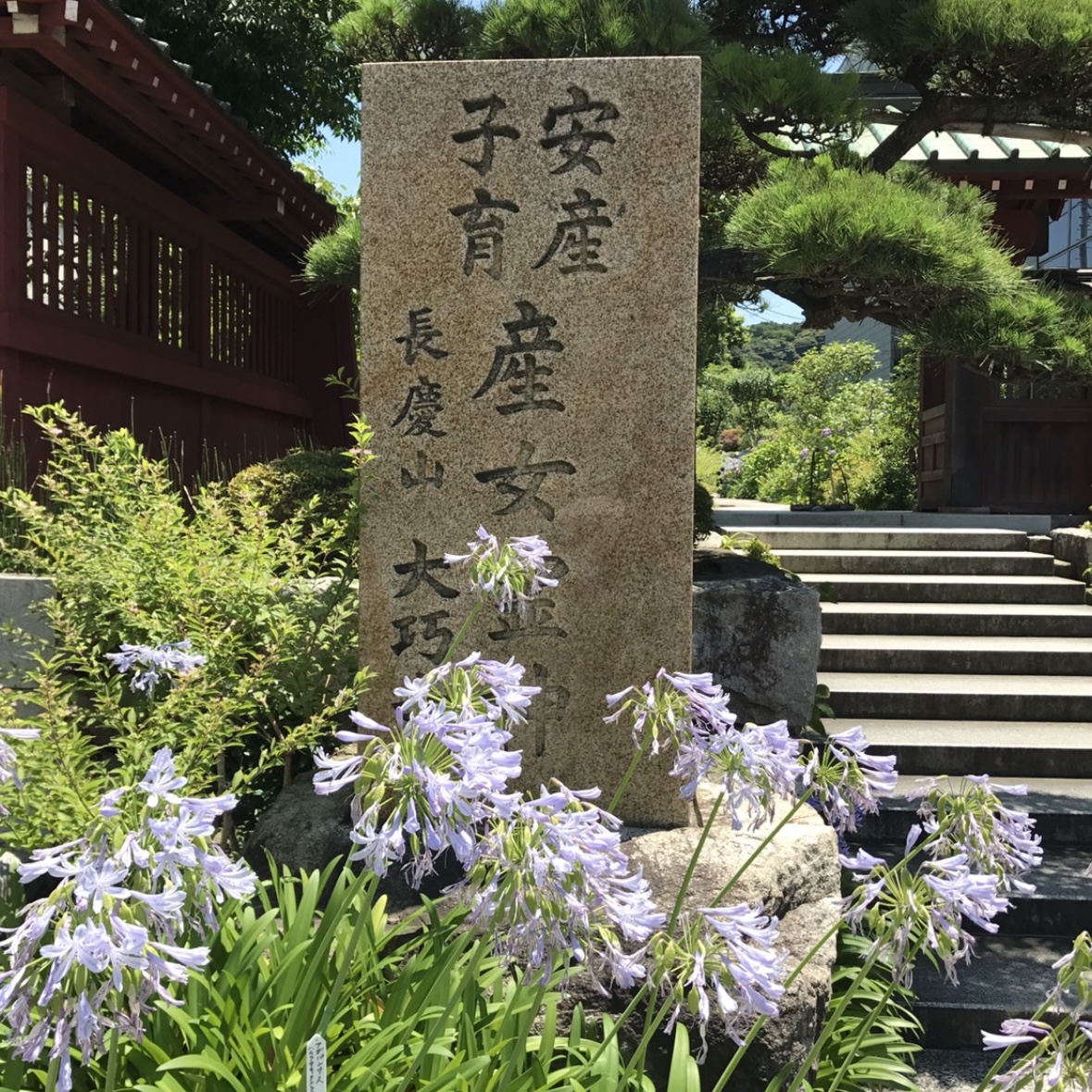 【めさま・おまとめページ】①LUPICIA とこ湘Blog】鎌倉おんめさまに、安産祈願のお礼参りへ - とことこ湘南