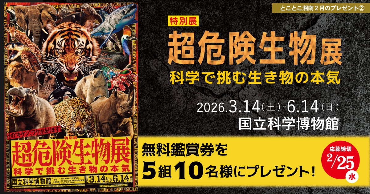 banner_kikenseibutsu