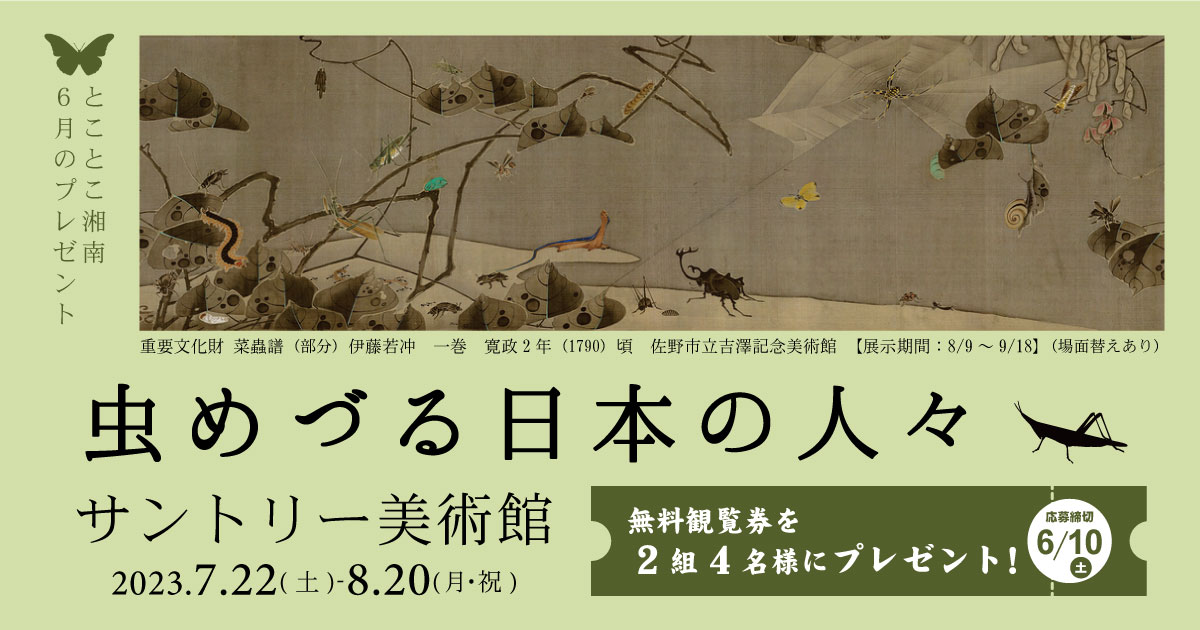 banner_mushimeduru_yoko