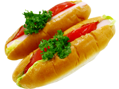 seigetsu_dog 清月佳祐ドッグ