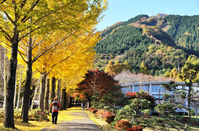 愛川ふれあいの村