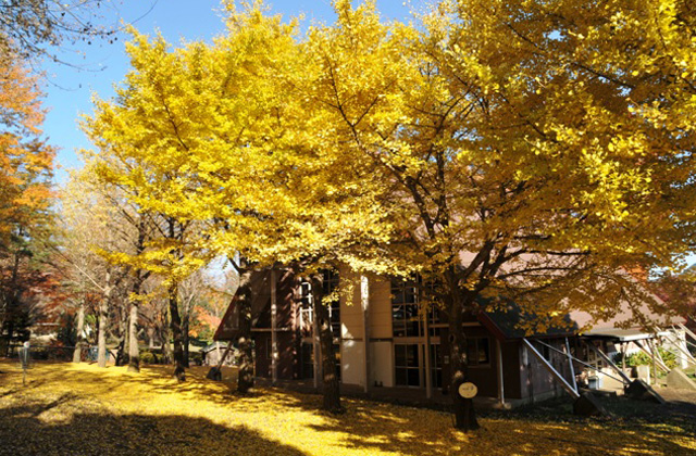 愛川ふれあいの村