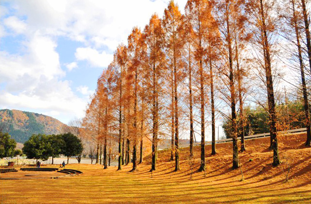 愛川ふれあいの村