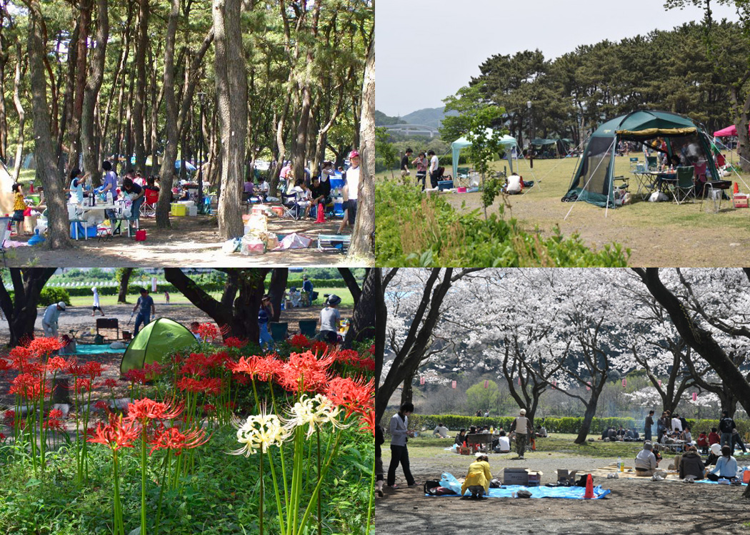 上大島キャンプ場