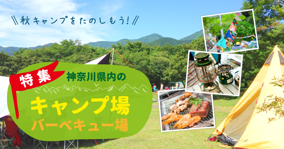 秋キャンプをたのしもう 神奈川県内のキャンプ場 バーベキュー場 とことこ湘南 秋キャンプをたのしもう 神奈川県内のキャンプ場 バーベキュー場 とことこ湘南