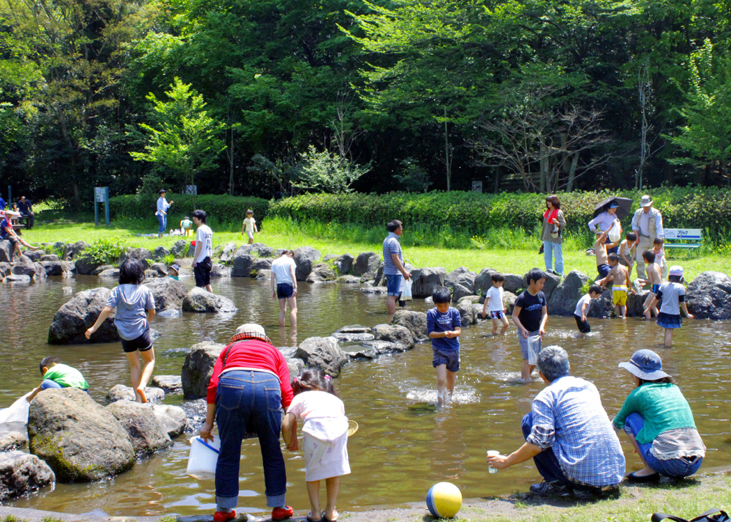 藤沢市少年の森