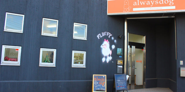 alwaysdog