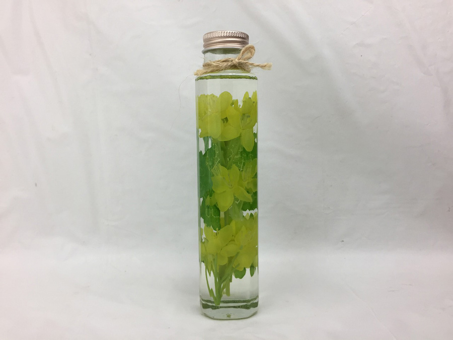 菜の花が見頃です！「菜の花まつり」開催中【ソレイユの丘】
