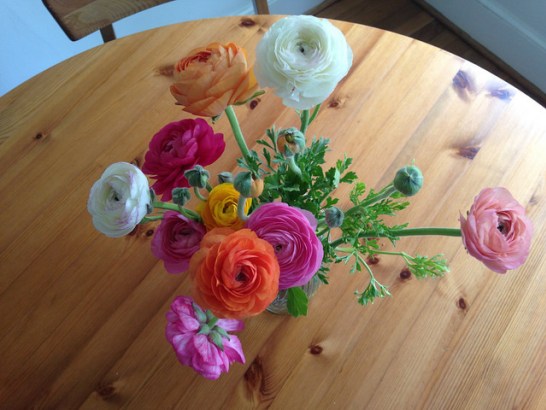 Ranunculus_01[1]