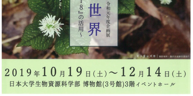 植物誌の世界
