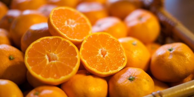 湘南みかんの木パートナーシップ