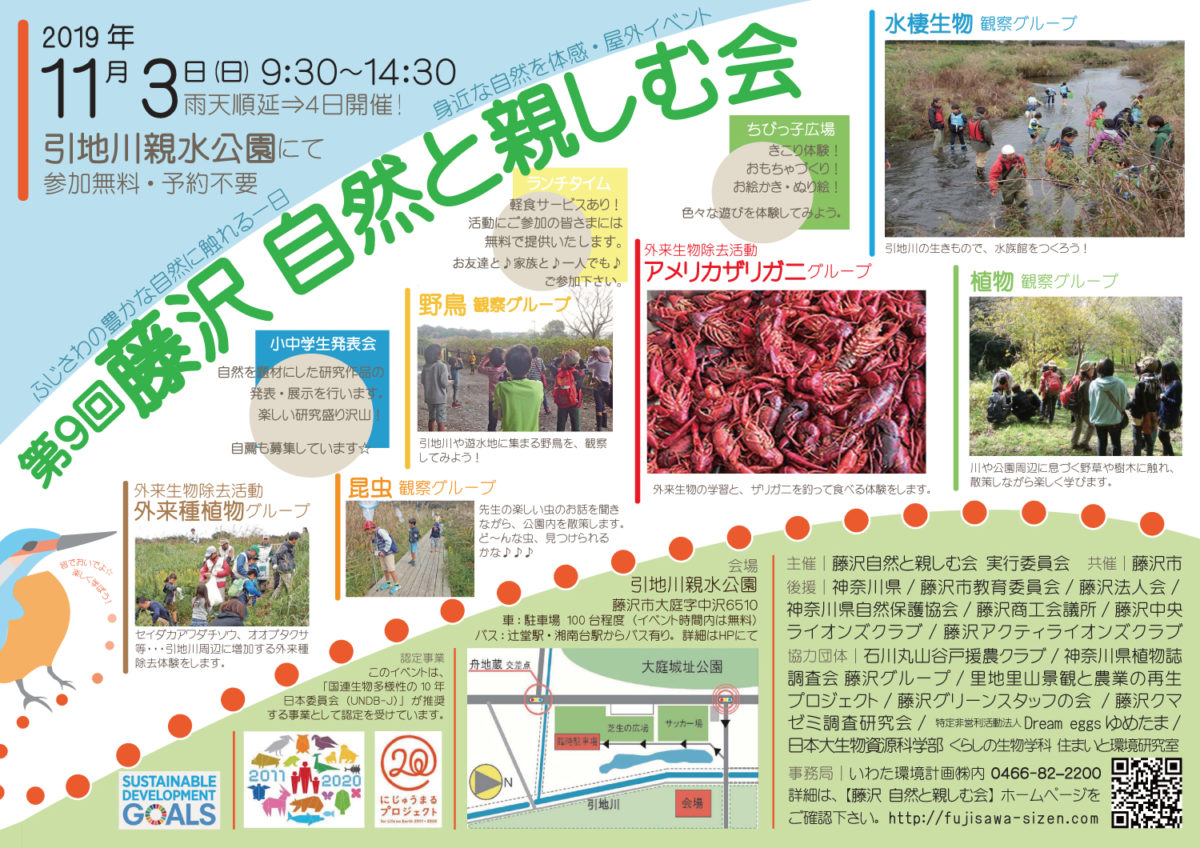 第9回藤沢自然と親しむ会 川の水族館 ザリガニ獲り 昆虫観察など 参加無料 とことこ湘南 第9回藤沢自然と親しむ会 川の水族館 ザリガニ獲り 昆虫観察など 参加無料 とことこ湘南