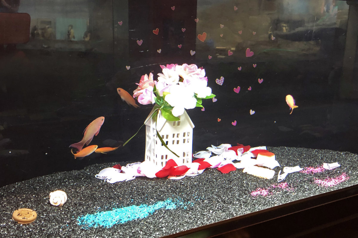 恋する“えのすい”　新江ノ島水族館