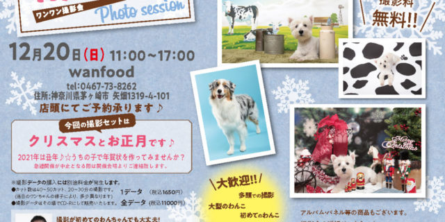 wanfood撮影会12.20