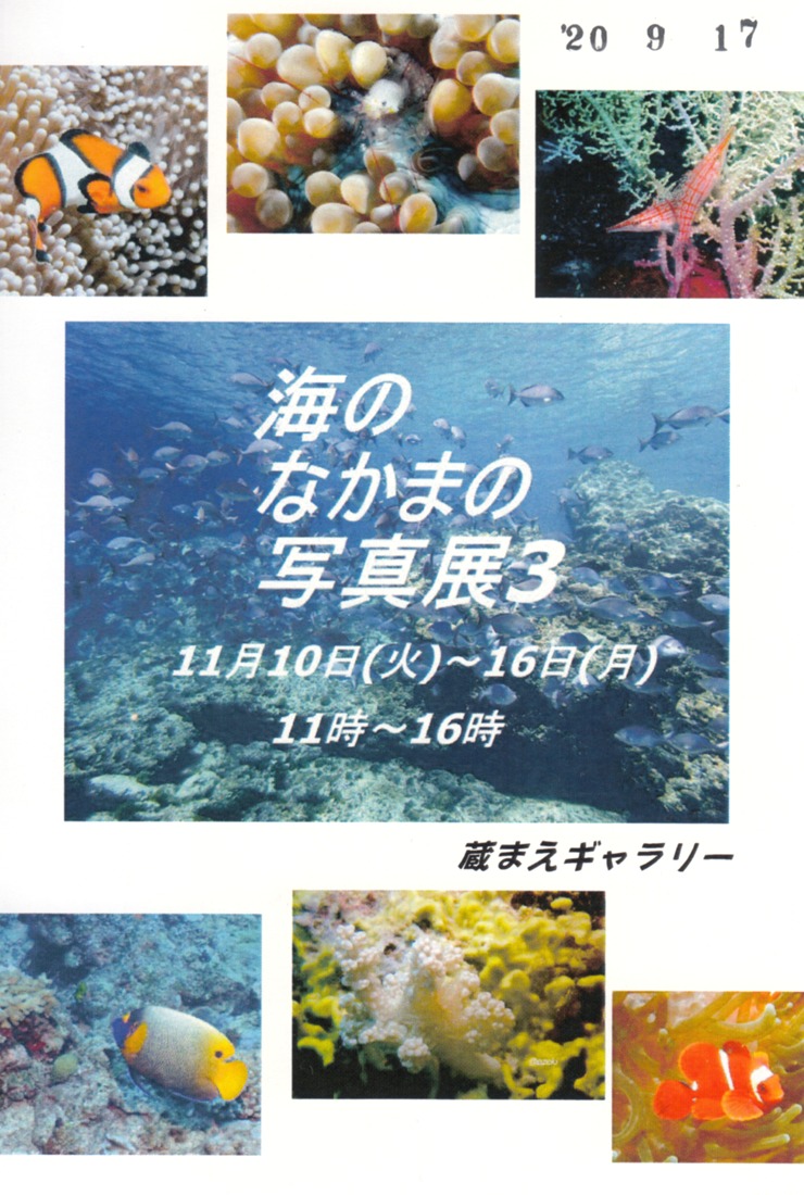 海のなかまの写真展