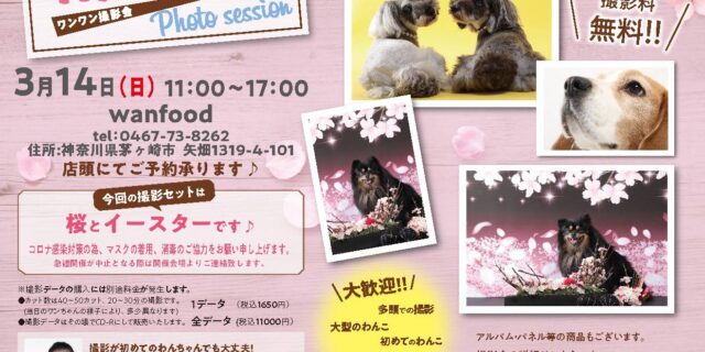 wanfood撮影会3.14