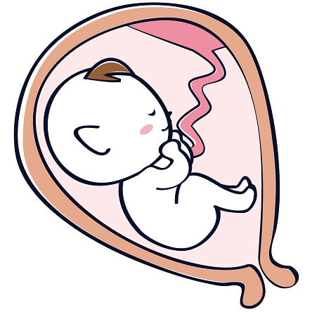 逆子の方は必見 Mahaloカイロプラクティックオフィス