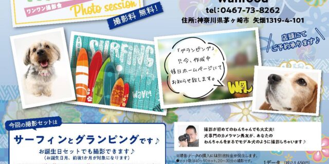 wanwan撮影会