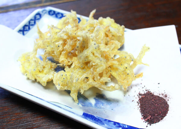 季節料理河童