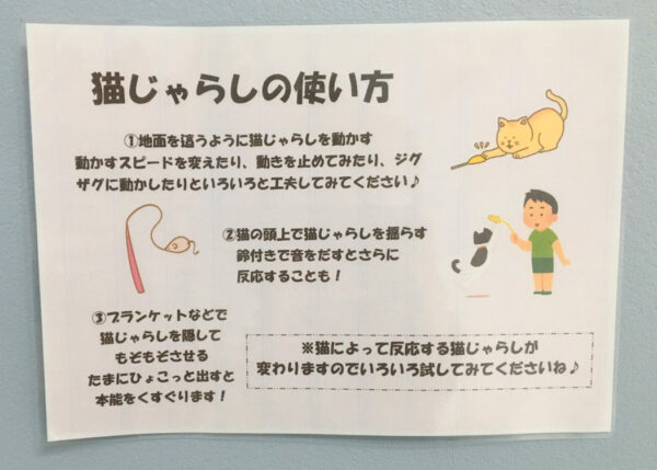 猫じゃらしの使い方