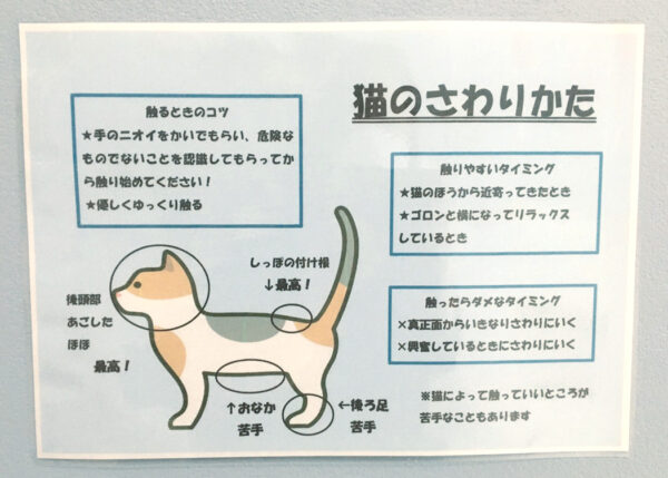 猫の触り方