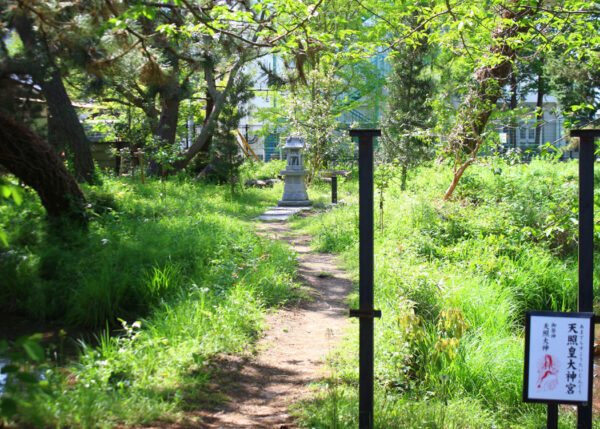 鶴峰八幡宮