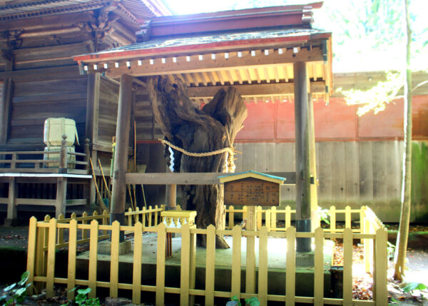 鶴峰八幡宮