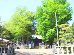 鶴嶺八幡宮