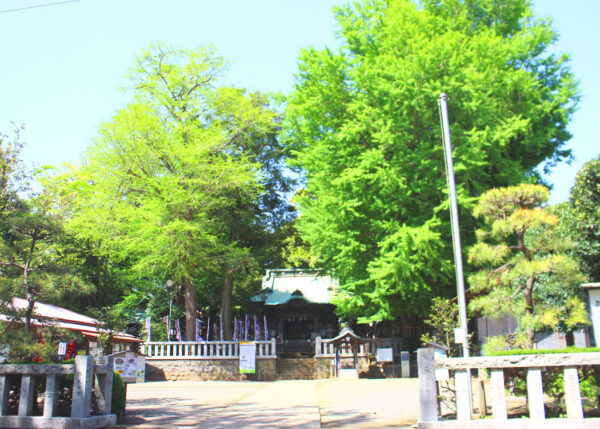 鶴嶺八幡宮