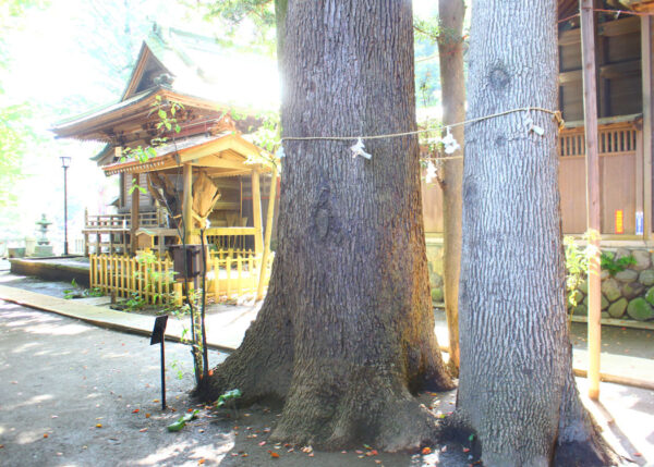 鶴峰八幡宮