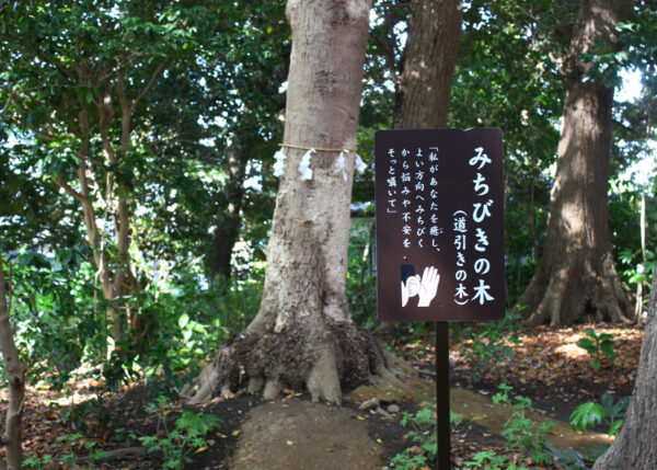 鶴嶺八幡宮