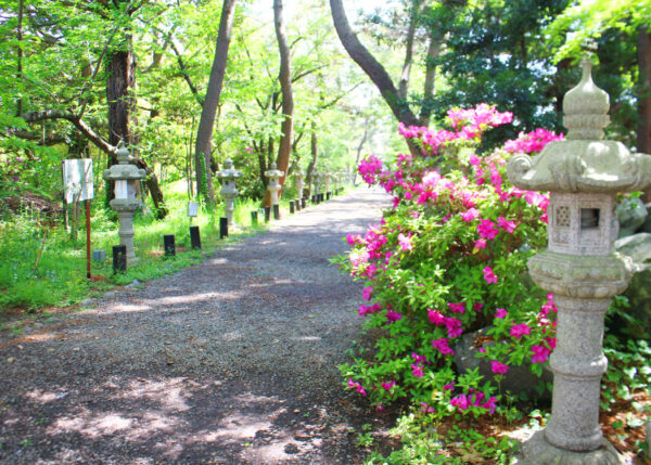 鶴峰八幡宮