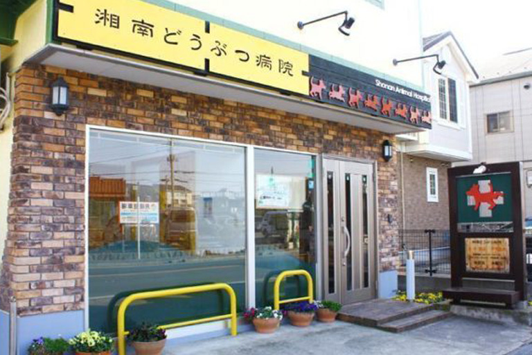 shonananimalclinic