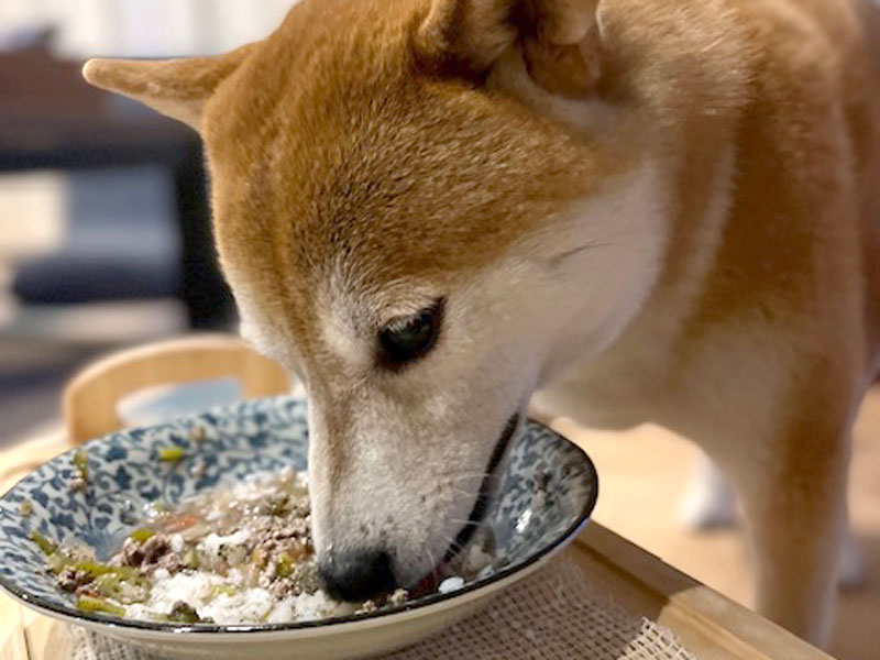 wankoyakuzen wankoyakuzen