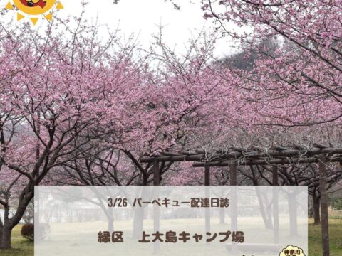 上大島キャンプ場