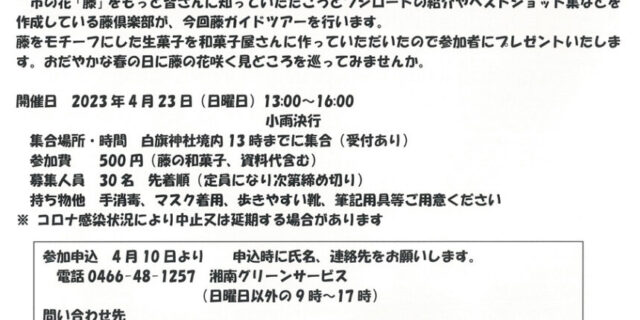 藤ガイドツアー