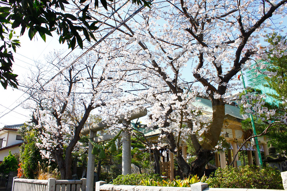 itsukushima