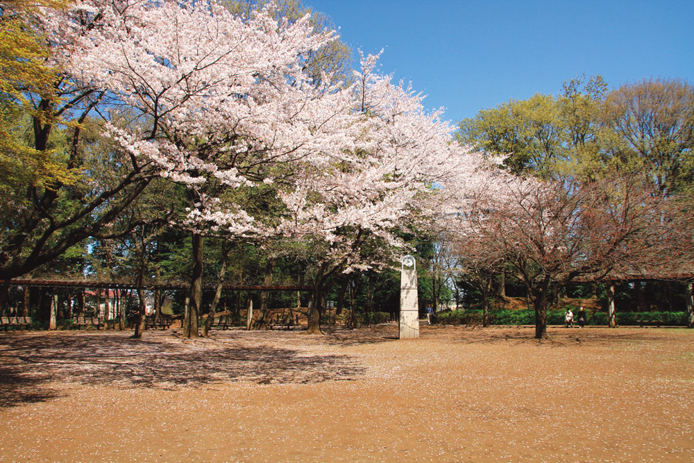 shiromyamap