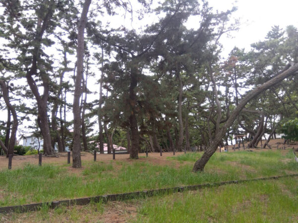 danjyu