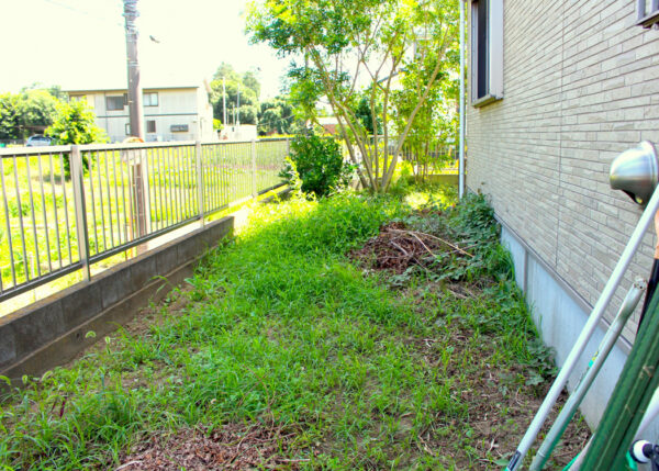 便利屋で草むしり