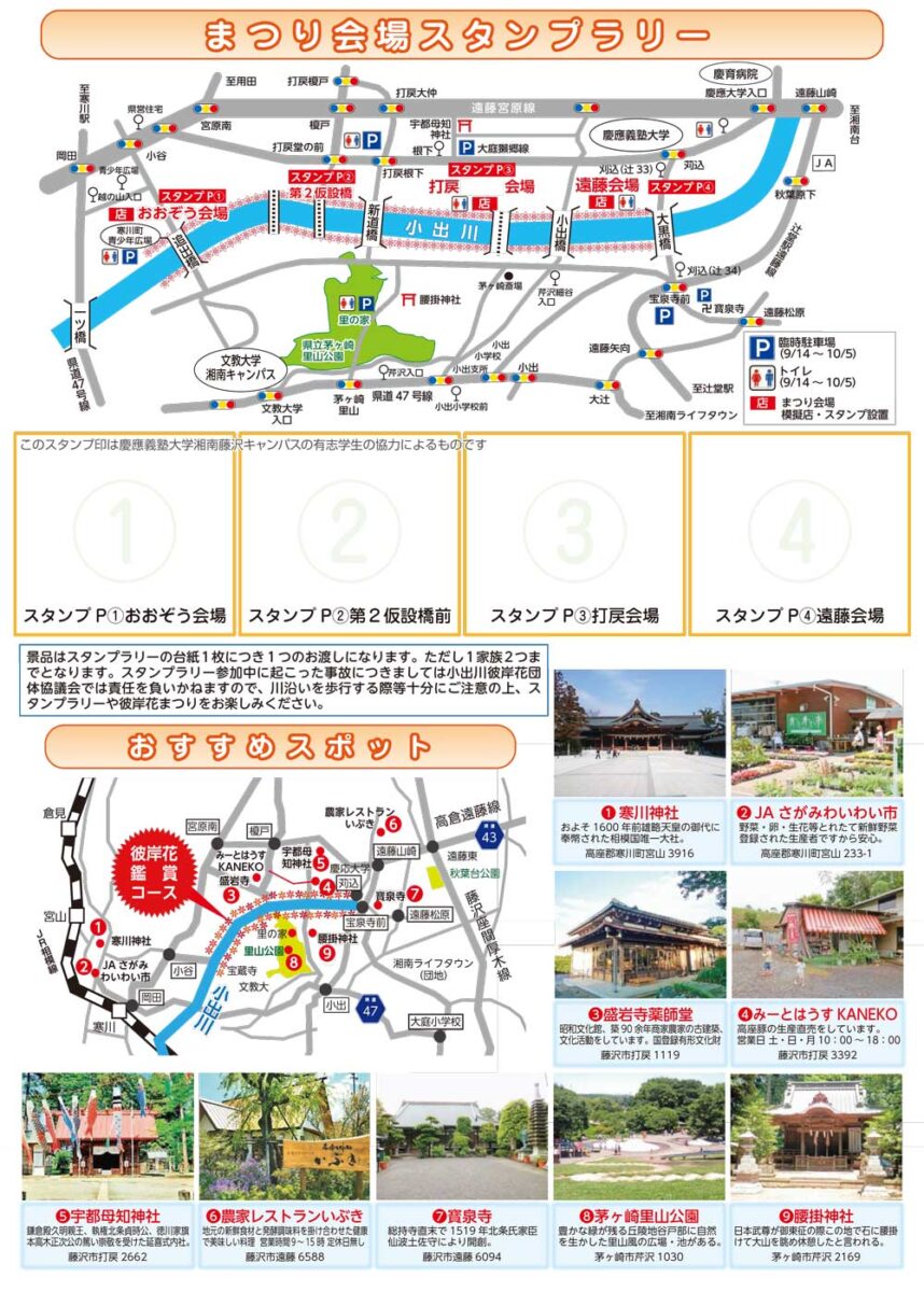 ※本年度は終了しました※【藤沢～茅ヶ崎～寒川】第17回 小出川彼岸花まつり