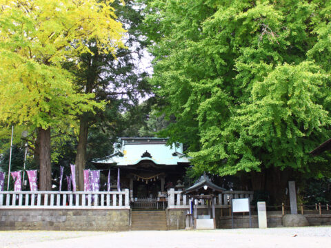 鶴嶺八幡宮