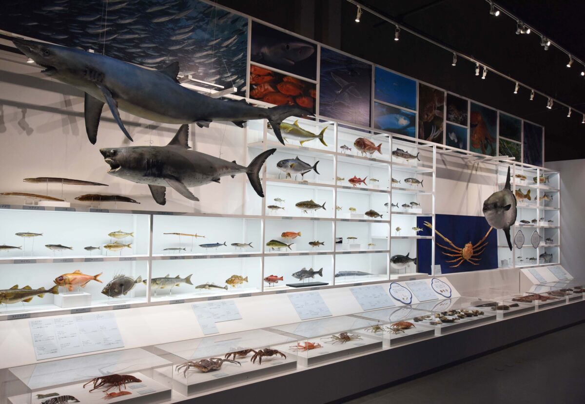 特別展「和食 ～日本の自然、人々の知恵～」 @国立科学博物館(東京・上野公園)