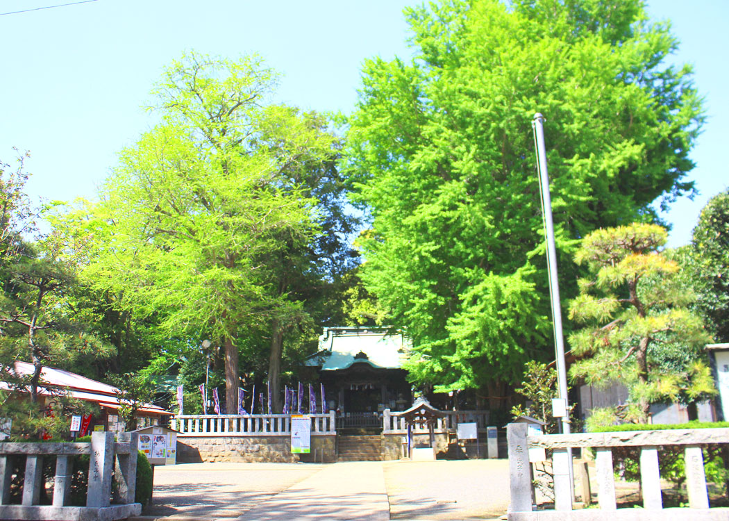 【茅ヶ崎】鶴嶺八幡宮「お餅つき大会」12/7(土)開催！ご予約受付中！