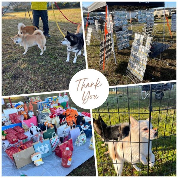 犬の運動会イベント！