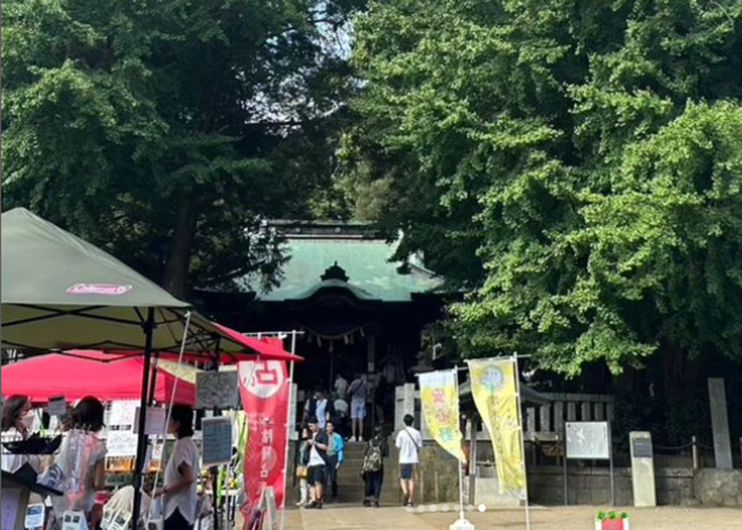 【茅ヶ崎市】神社で開運占い！＠茅ヶ崎・鶴嶺八幡宮【2024年】12月