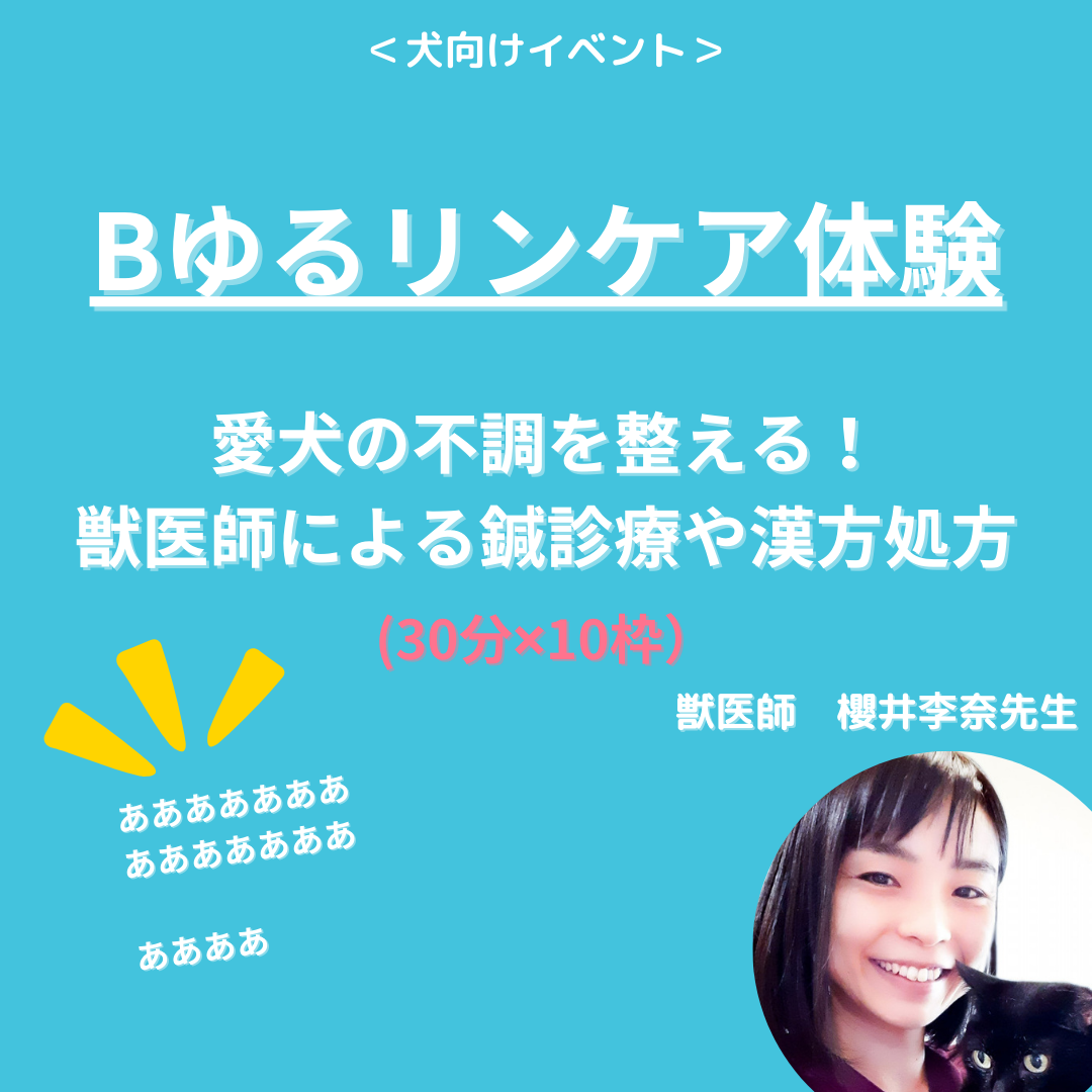 【辻堂】人と犬の健康フェスタ＠湘南辻堂